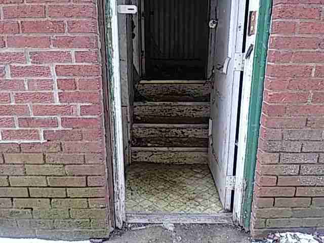 Testing again(59).jpg